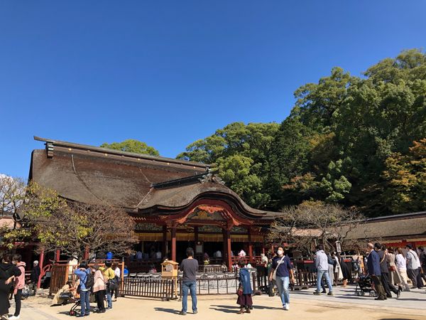 日本・福岡県「福岡（小倉と博多とちょこっと久留米）」の写真：長年の憧れだった太宰府天満宮にお詣り