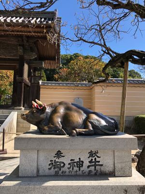 長年の憧れだった太宰府天満宮にお詣り