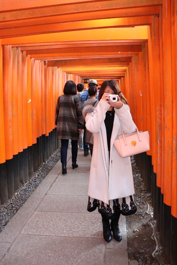 日本・京都府「京都、三重旅行」の写真