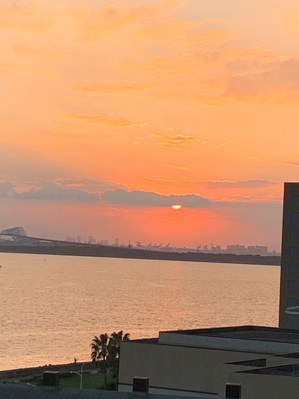 日本・東京ディズニーランド「やっと…ディズニーランド❤️」の写真：花火も素敵よね❤️
もちろん、ホテルに一...