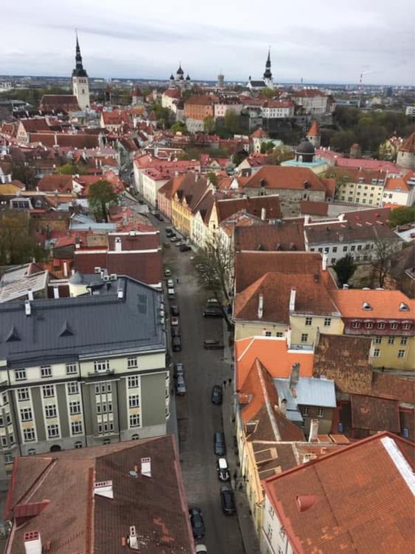 エストニア・タリン「北欧旅行 エストニア」の写真：世界遺産タリン旧市街