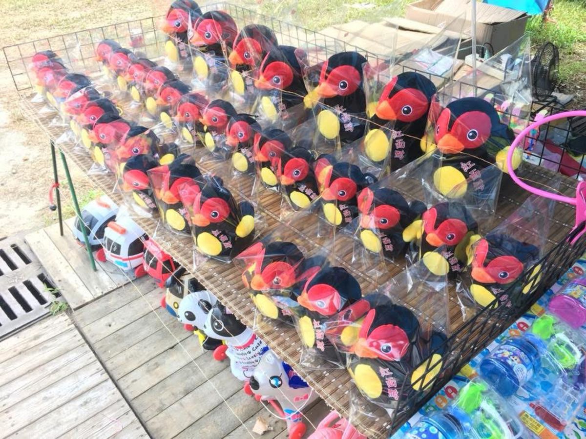 今回は花蓮南の鯉魚潭へ
今まで2度断念した、念願の花蓮紅面鴨に会えました
...