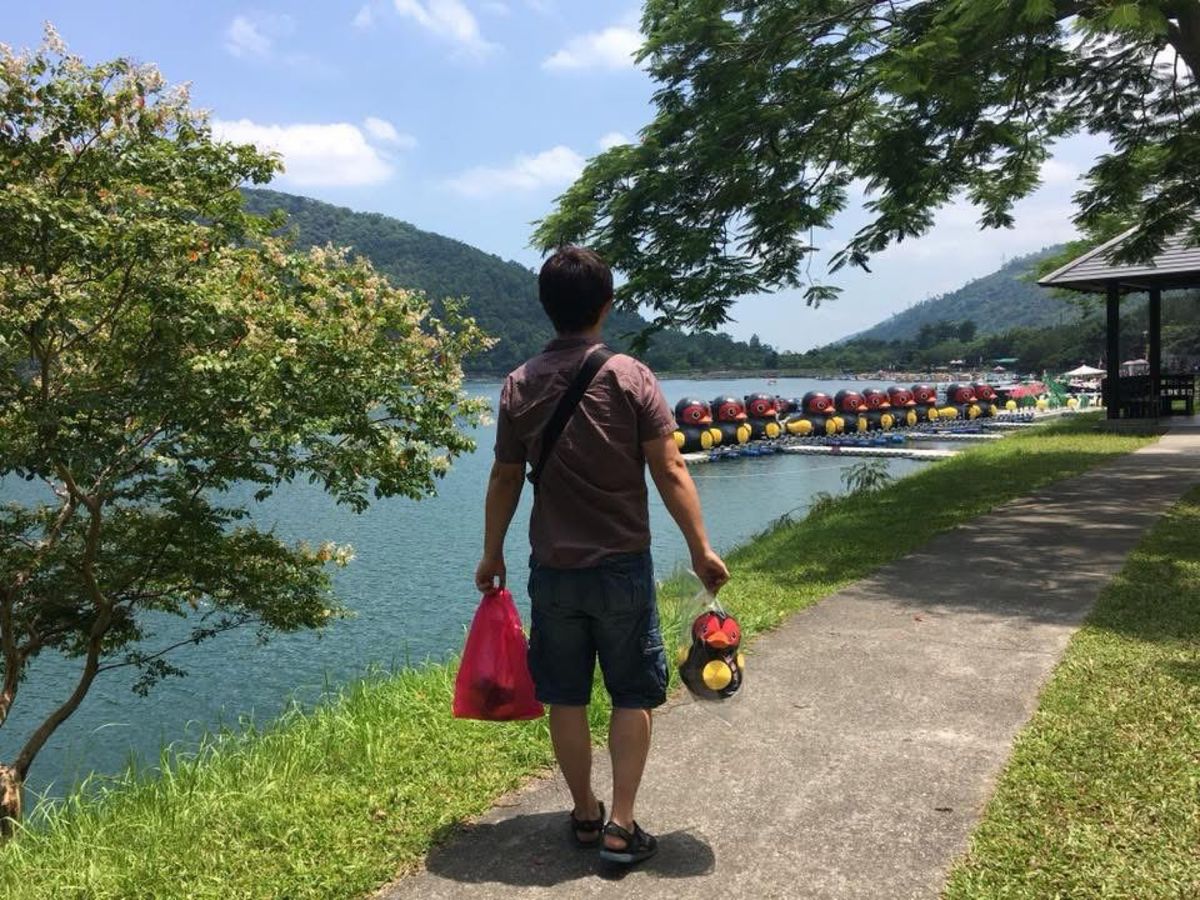 今回は花蓮南の鯉魚潭へ
今まで2度断念した、念願の花蓮紅面鴨に会えました
...