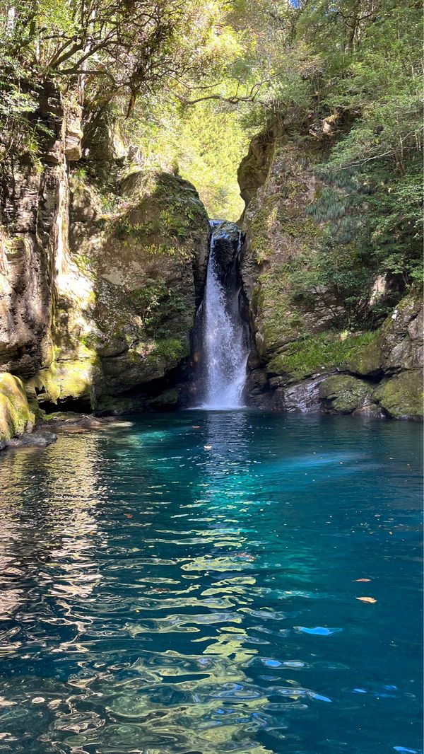 日本・高知県「高知の旅」の写真