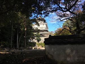 錦帯橋、岩国城、大久野島のうさぎ
夜空港到着で朝イチから動きました