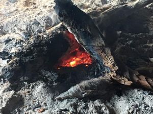 厳島神社と弥山
宮島宿泊は初めて