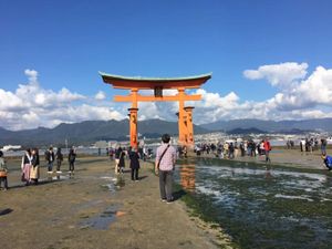 厳島神社と弥山
宮島宿泊は初めて