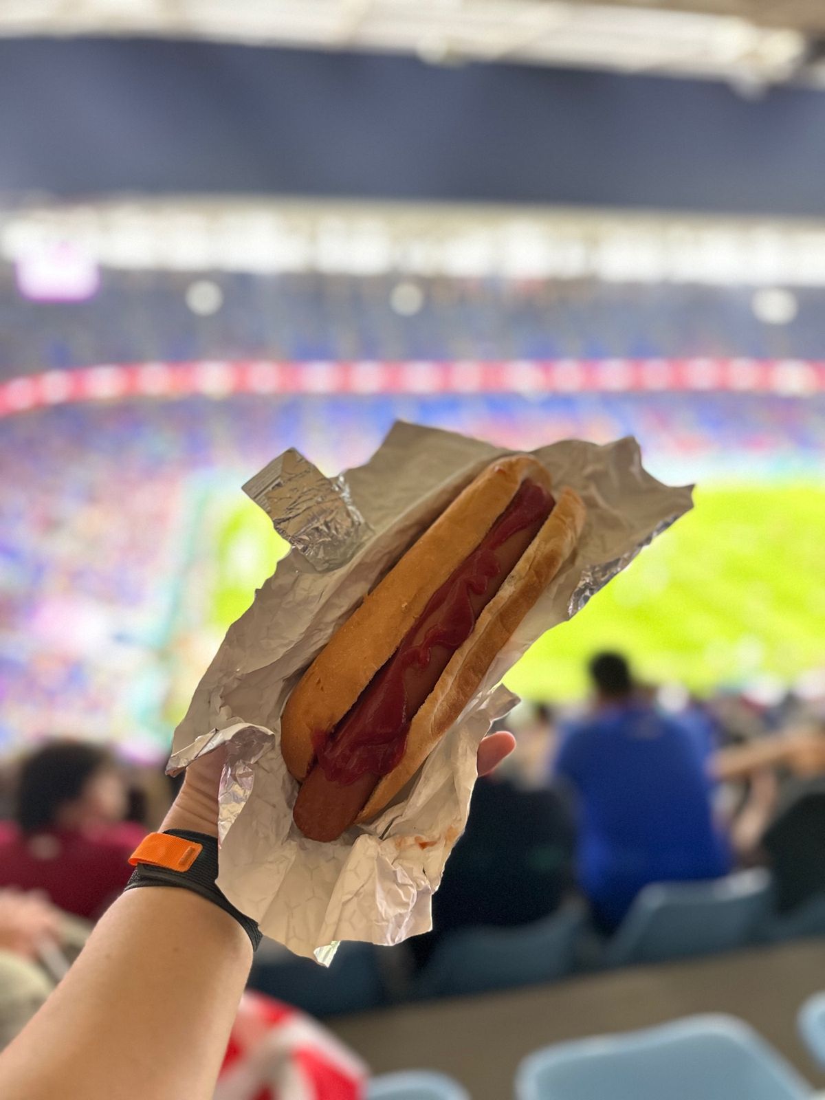 2日目夜はフランス対デンマーク

スタジアムでホットドッグを食べる。あまり...