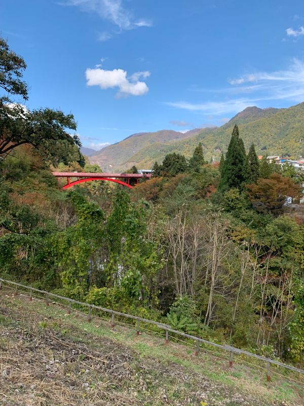 日本・岐阜県「下呂温泉」の写真