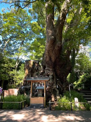 快晴の熱海は綺麗だったし、来宮神社も素敵だった。
海鮮類はもちろん熱海バタ...