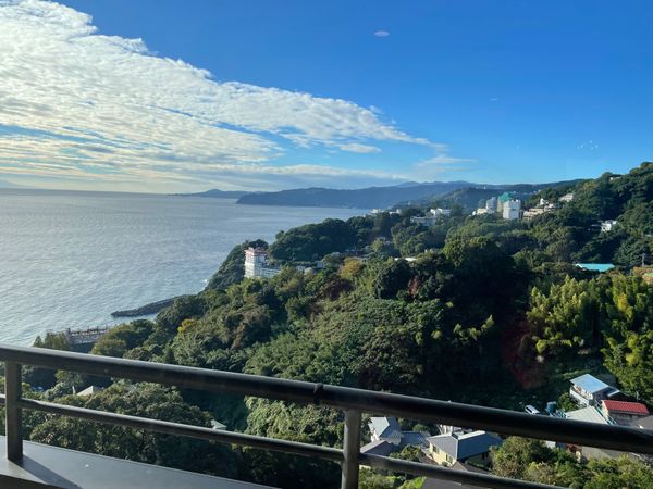 日本・熱海「🐟静岡🍮」の写真：快晴の熱海は綺麗だったし、来宮神社も素敵...