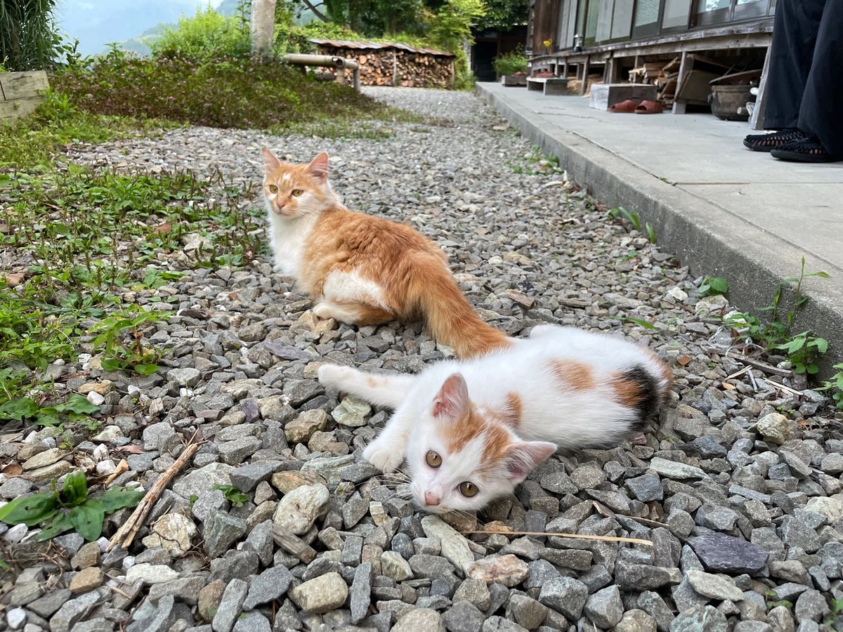 お山の宿　みちつじさんに宿泊