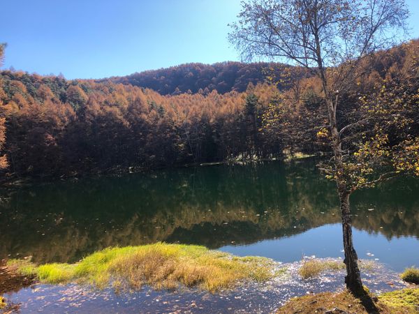 日本・長野県「上田紅葉狩り」の写真