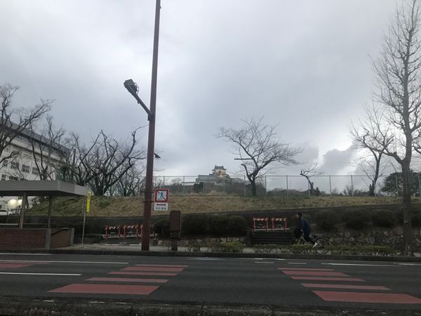 日本・静岡県「静岡浜松旅行(プライベート)」の写真