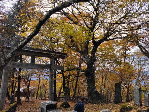 日本「横瀬日帰り登山」の写真