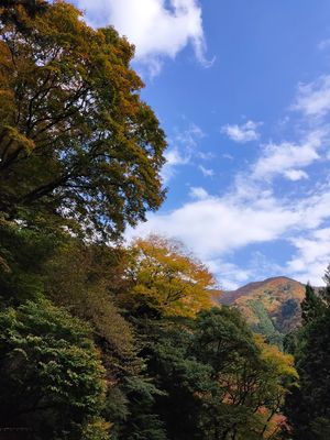 武甲山に登った。紅葉きれいだった