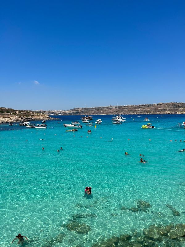 マルタ・マルタ「マルタ」の写真