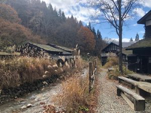 最終日は鶴の湯へ。女性専用の露天風呂。混浴の露天風呂もあり。素敵な温泉でし...