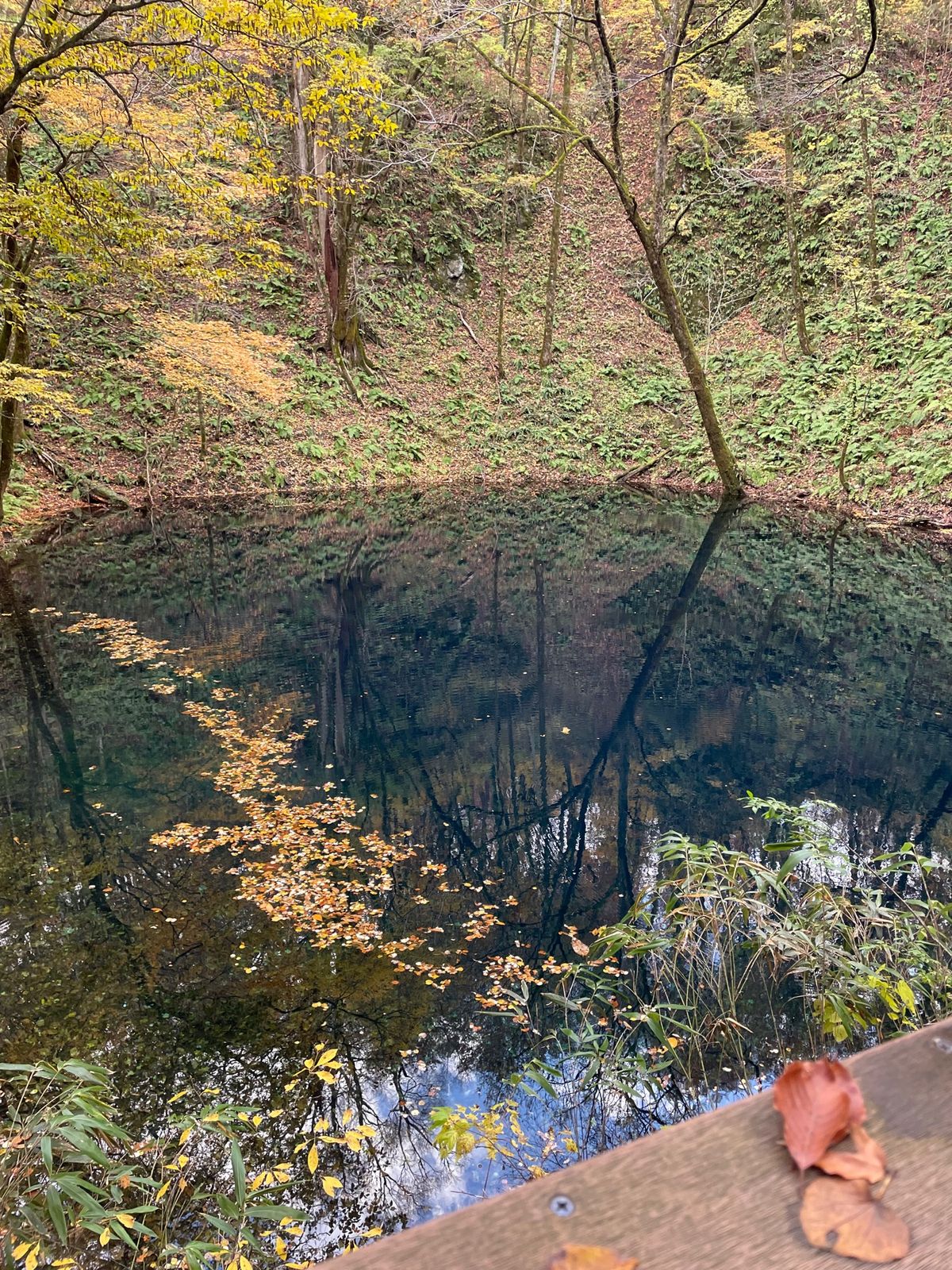 次の日は不老ふ死温泉へ。海辺の露天風呂は故障中でした。残念💧でも中湯だけで...