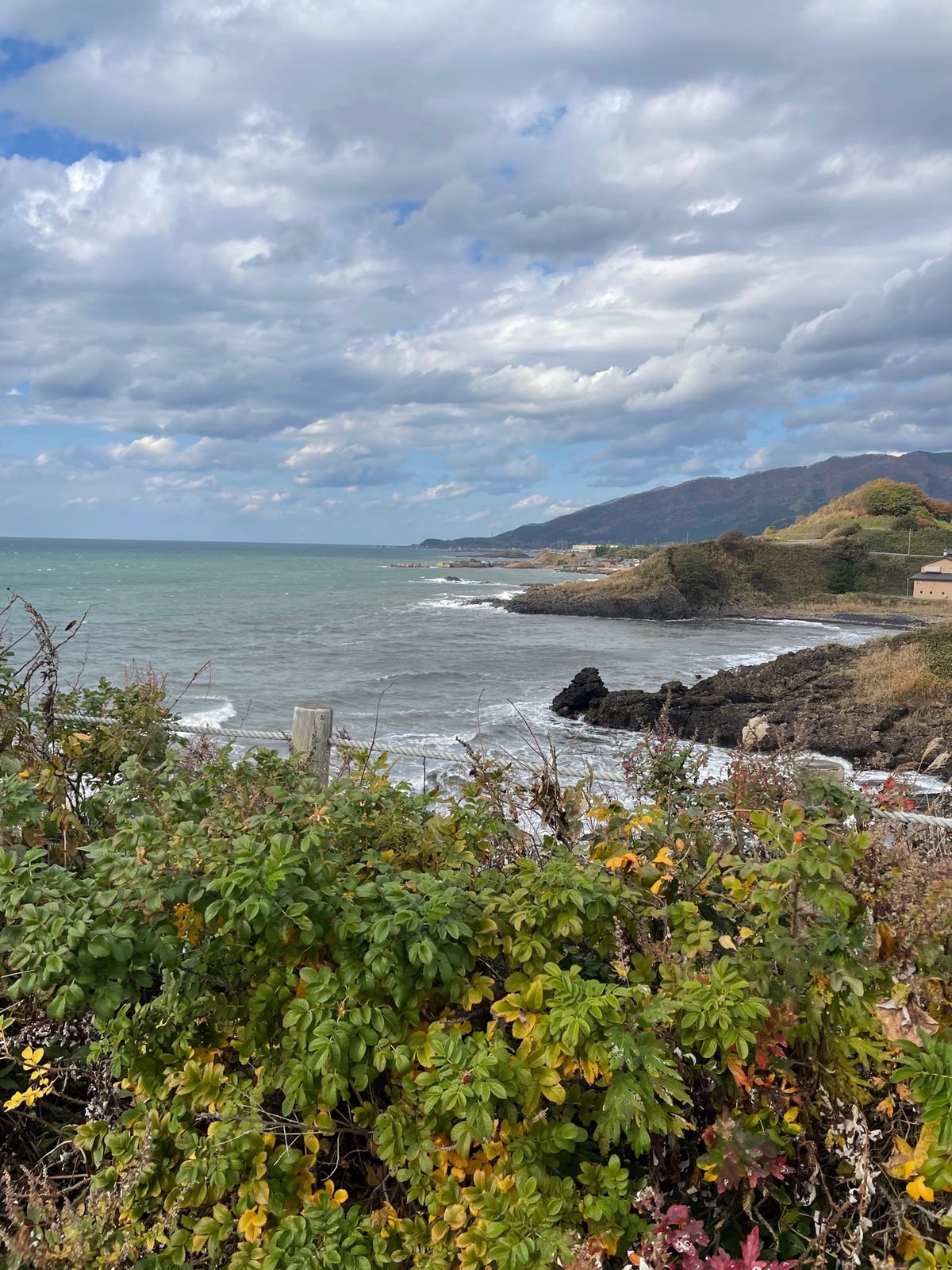 次の日は不老ふ死温泉へ。海辺の露天風呂は故障中でした。残念💧でも中湯だけで...