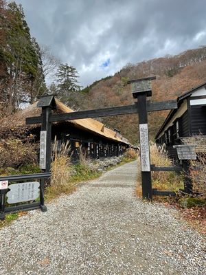 最終日は鶴の湯へ。女性専用の露天風呂。混浴の露天風呂もあり。素敵な温泉でし...