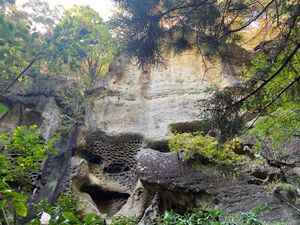 垂水遺跡
タイミングによっては太陽が反射して七色に見えるとか…残念。
思っ...