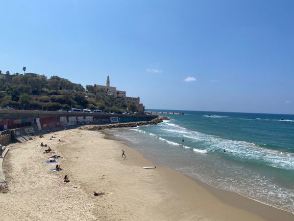 イスラエル「イスラエル旅行」の写真：パレスチナ分離壁まで遠征