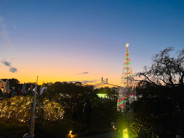 日本・栃木県「あしかがフラワーパーク」の写真