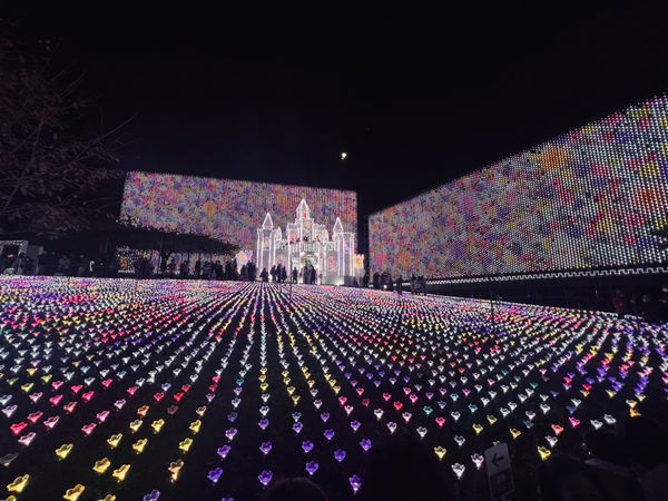 日本・栃木県「あしかがフラワーパーク」の写真