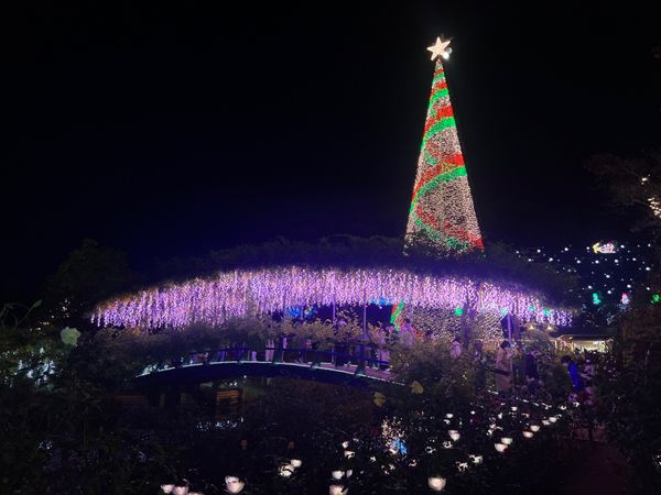 日本・栃木県「あしかがフラワーパーク」の写真