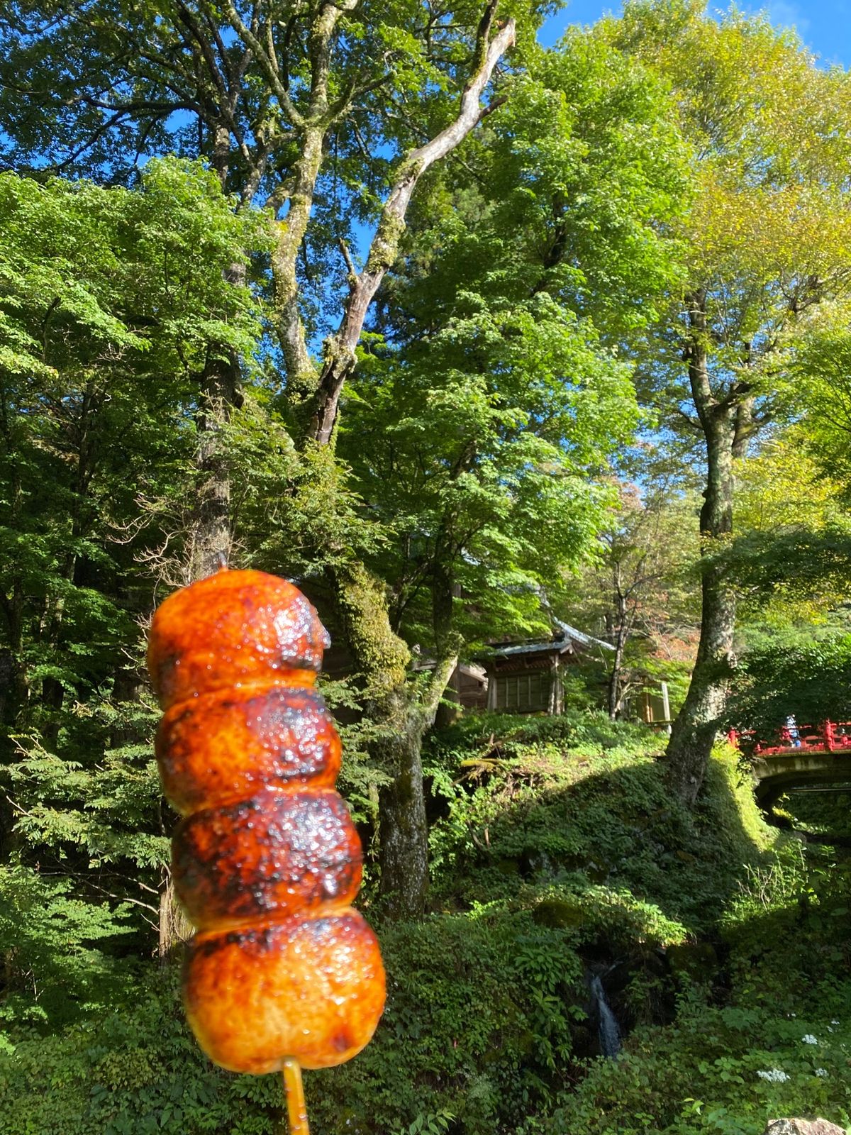 草津から高崎市榛名神社⛩へ。物凄いパワーを感じる山でした。（神社本殿は改装...