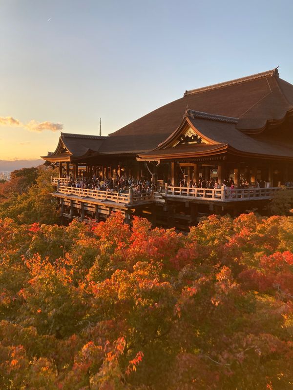 日本・京都府「202211京都旅行」の写真
