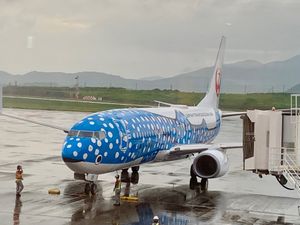 石垣島
南ぬ島石垣空港
ジンベエジェット