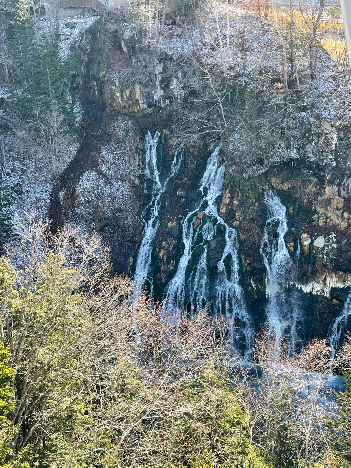 冬の美瑛観光
青い池、白ひげの滝、美瑛・十勝岳