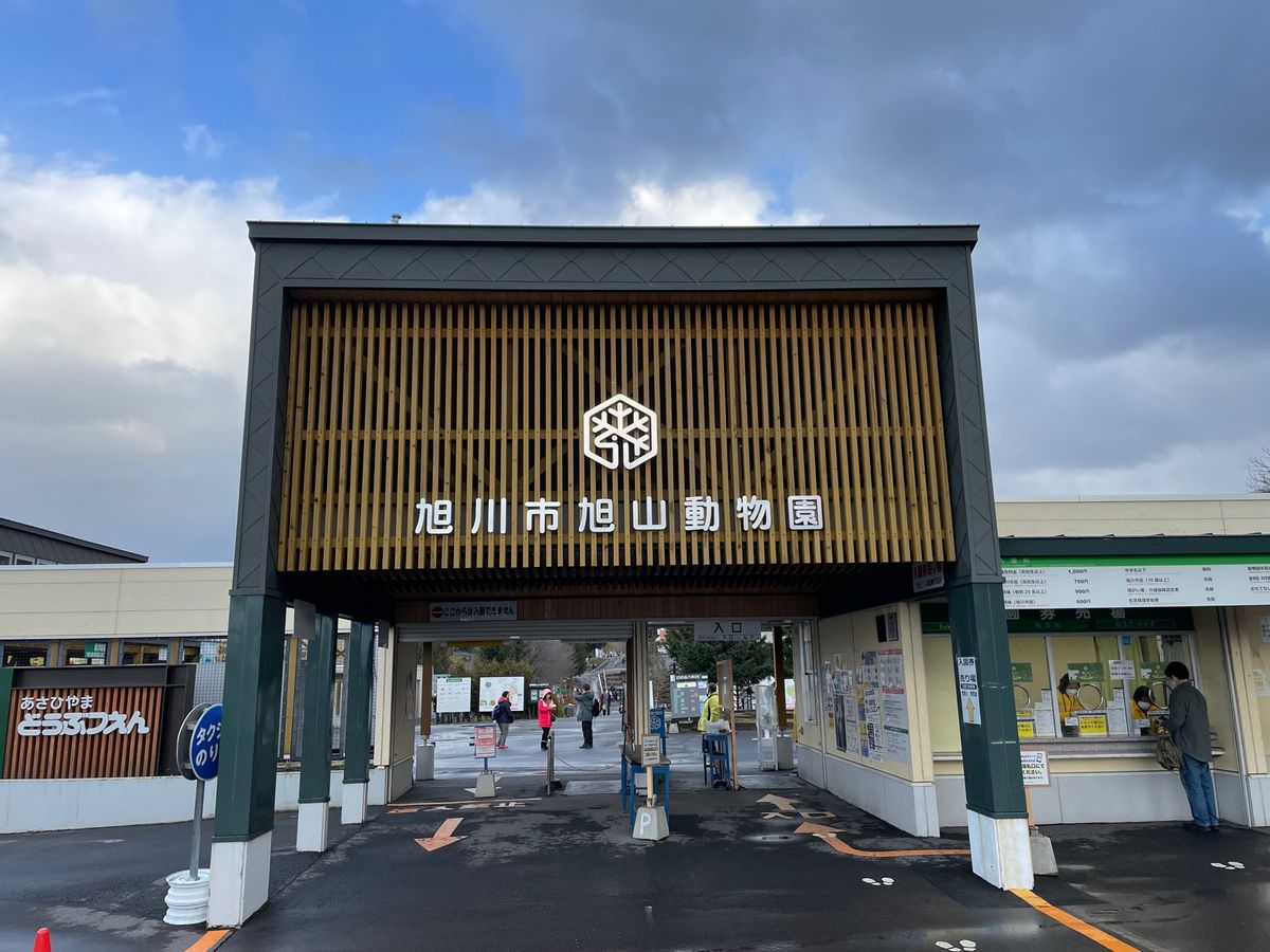 旭山動物園
BEST3はゴマフアザラシ就寝、ライオン三つ子、ペンギン子供