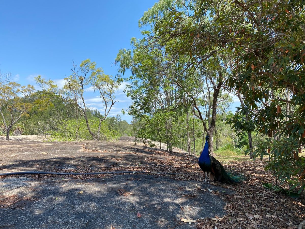 3日目はレンタカーを借りてチラゴーへ向かう。
途中、グラニットゴージーネイ...