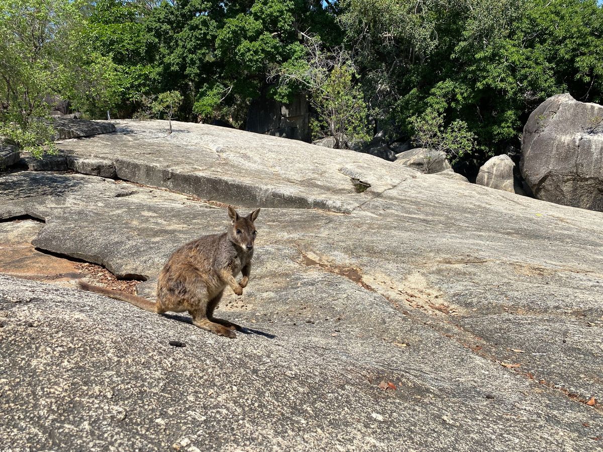 3日目はレンタカーを借りてチラゴーへ向かう。
途中、グラニットゴージーネイ...