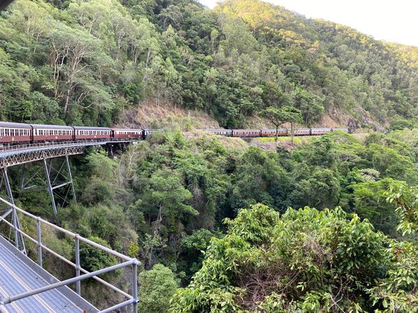 オーストラリア連邦・ケアンズ「オーストラリア🇦🇺」の写真：最終日はケアンズ観光定番のコース。
スカ...