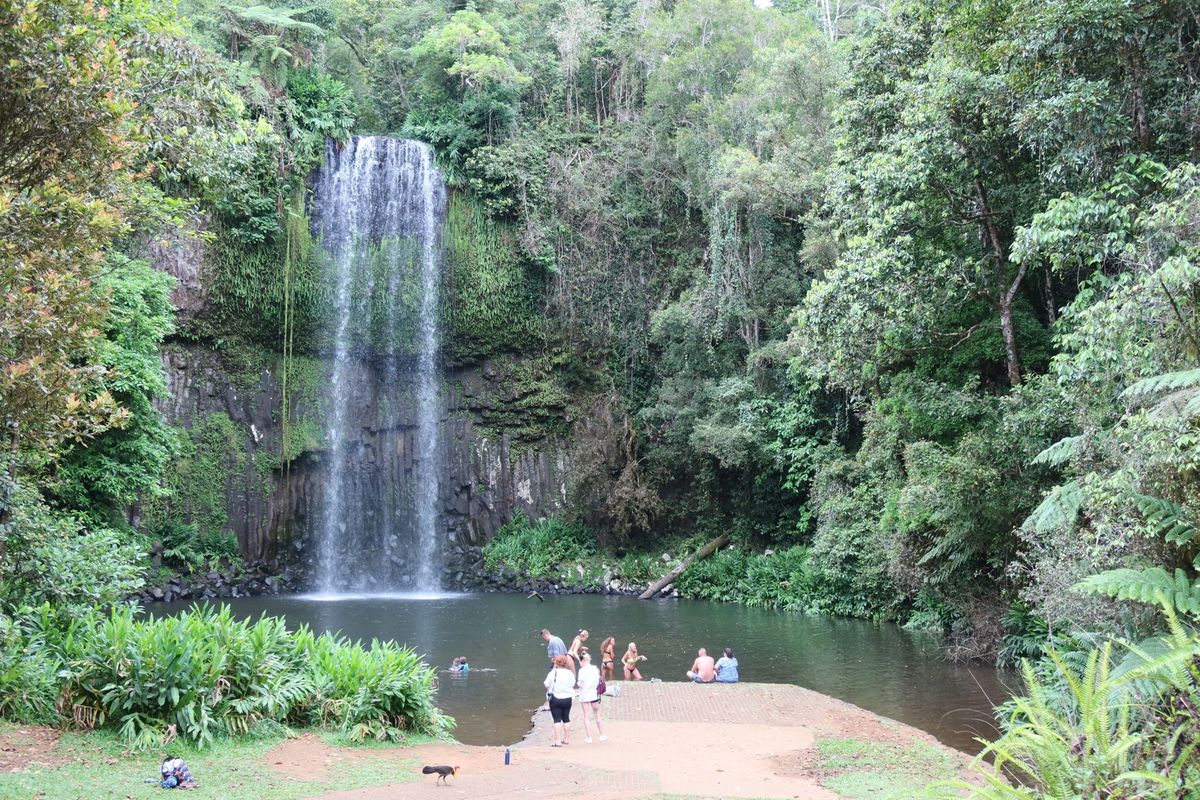 チラゴーからアサートンへ🚗💨
①カーテンフィグツリー
②ミラーミラーの滝
...