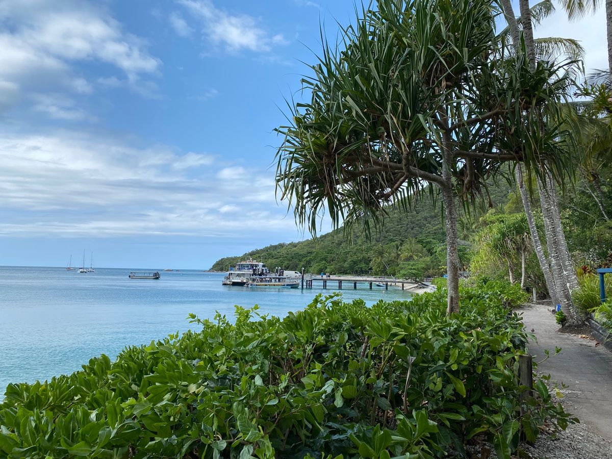 2日目はフィッツロイ島へ。
足下は砂浜ではなくサンゴ。
波が去る時にカラカ...