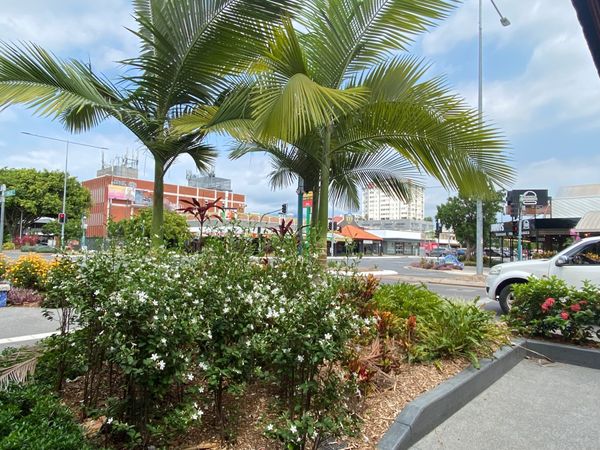 オーストラリア連邦・ケアンズ「オーストラリア🇦🇺」の写真：早朝に到着したため、1日目はのんびりと。...