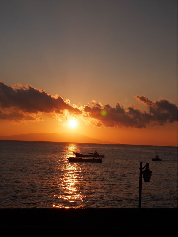 日本・伊豆「伊豆　2022.11」の写真