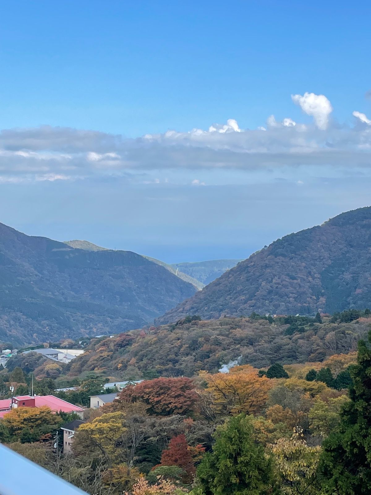 箱根フリーパスで２日間乗り放題のロープウェイで大涌谷へ。
紅葉もだいぶ色づ...