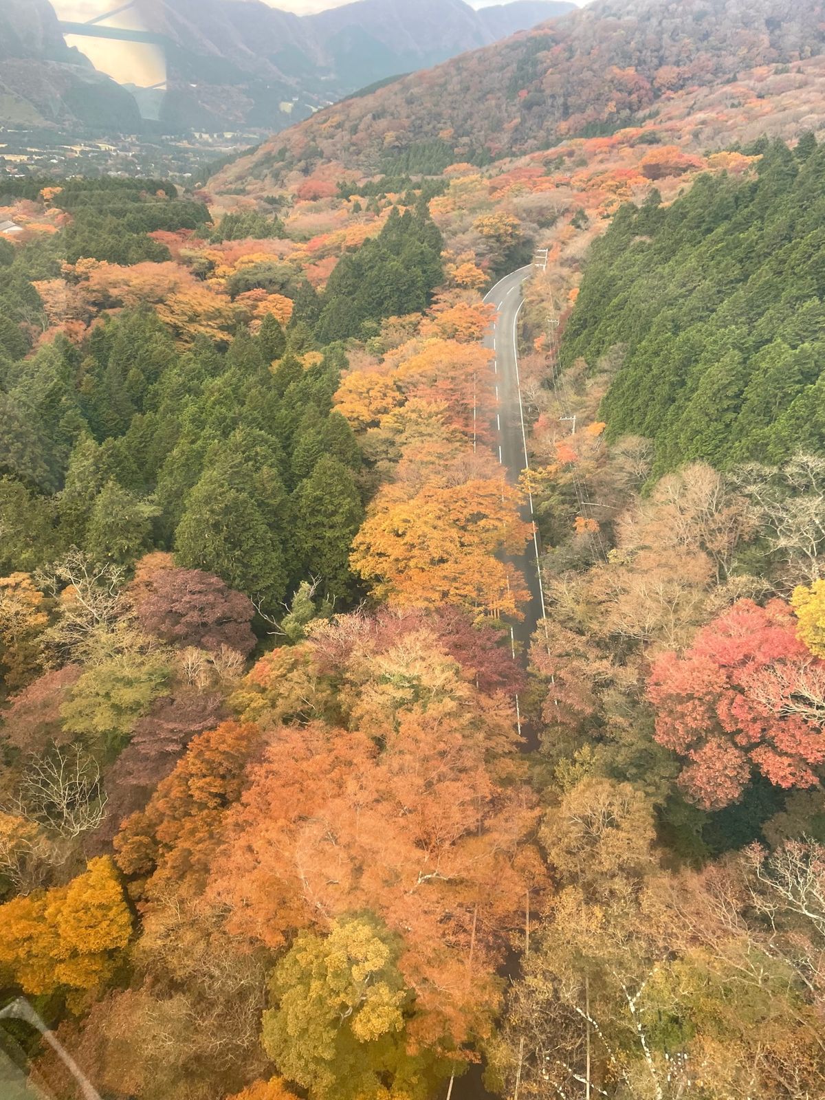 箱根フリーパスで２日間乗り放題のロープウェイで大涌谷へ。
紅葉もだいぶ色づ...