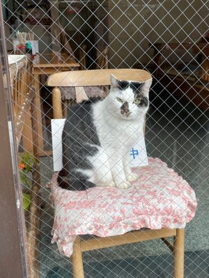 翌日はロープウェイに乗ってる時に少しだけ富士山が見えた！
そして初めて海賊...