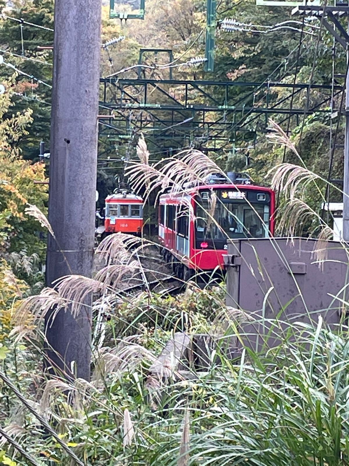 箱根登山鉄道で途中下車して、スイッチバックを眺められるカフェでランチしました。
