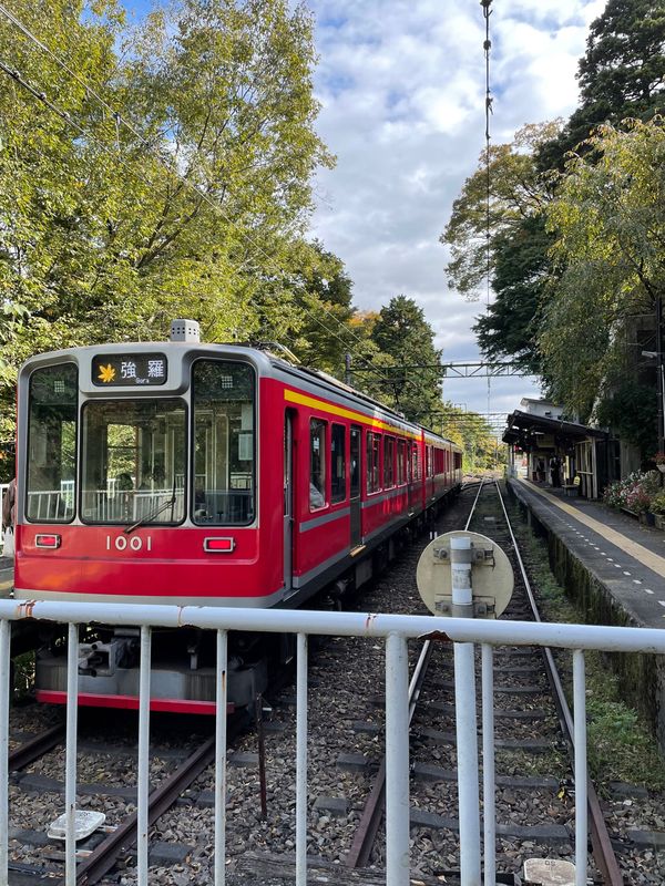 日本・箱根「紅葉の箱根リベンジ旅？」の写真：箱根登山鉄道で途中下車して、スイッチバッ...