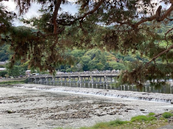 日本・京都「【聖地巡礼】赤司征十郎の京都」の写真：嵯峨野・嵐山へ。
前に来た時は、大雨の後...