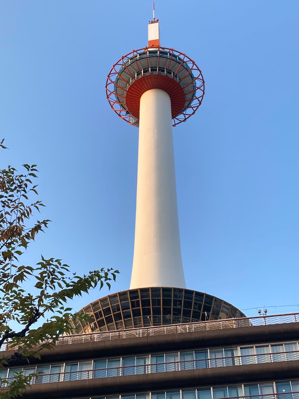 普通なら新幹線🚄で行くところだけど、マイル貯めたいので飛行機✈️で伊丹空港...