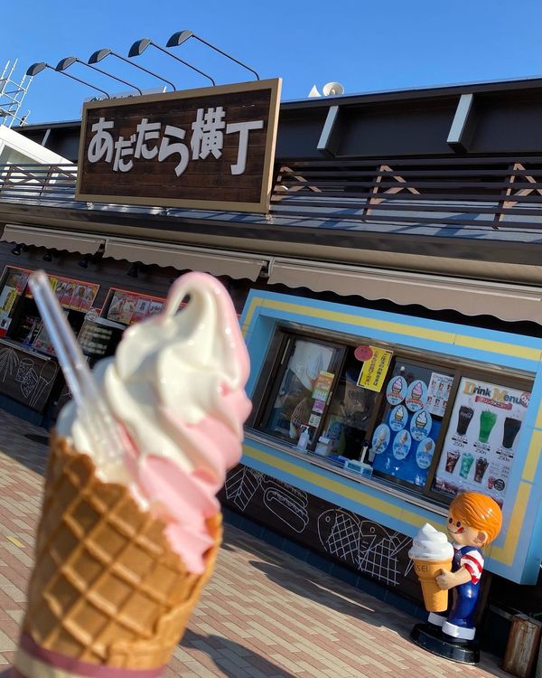 日本・栃木県「🚙鬼怒川温泉行き」の写真